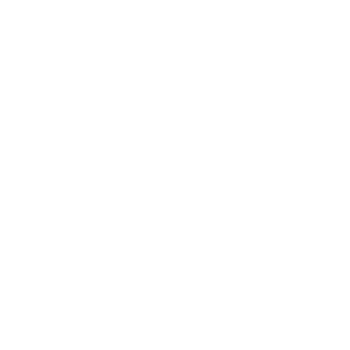 The Website Hero Logo